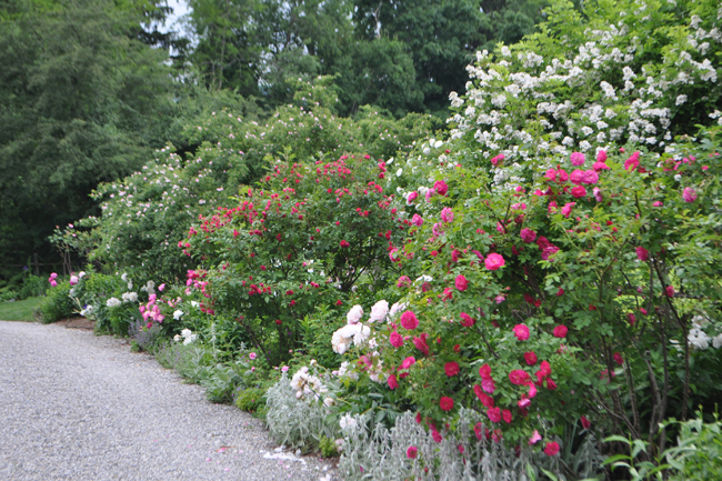 Dutchess County, NY Open Day